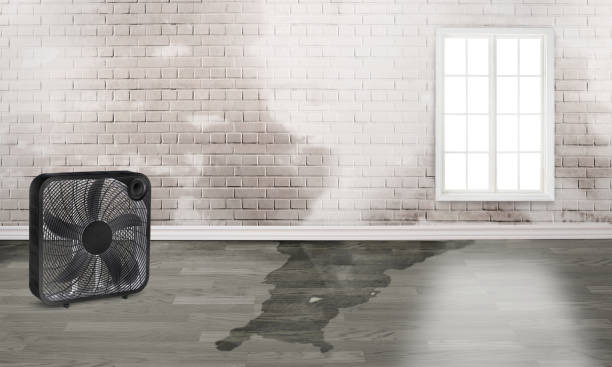Best Local water damage restoration  in Marshville, NC