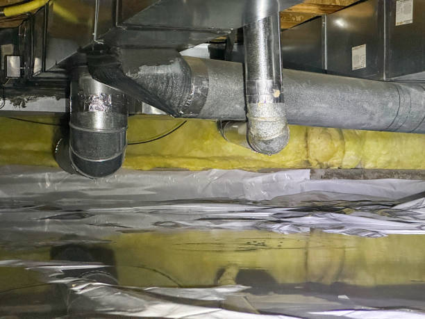 Best Local water damage restoration  in Marshville, NC