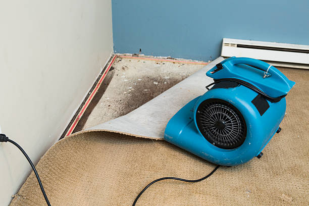 Best Mold removal after water damage  in Marshville, NC